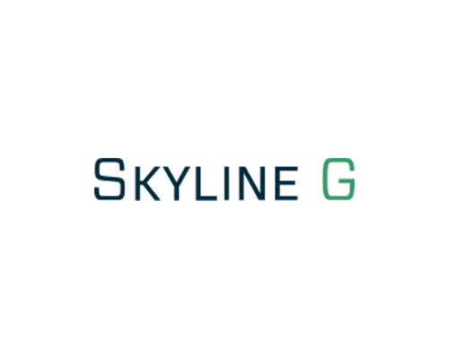 Skyline G - Executive Coaching & Leadership Development